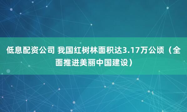 低息配资公司 我国红树林面积达3.17万公顷（全面推进美丽中国建设）
